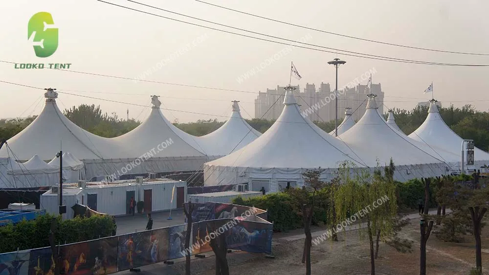 carnival tent (6)